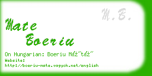 mate boeriu business card